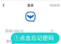 蝙蝠聊天软件官方下载,蝙蝠聊天软件官方下载2024版