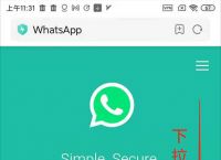 whatsapp下载不了,whatsapp下载不了图片,能聊天