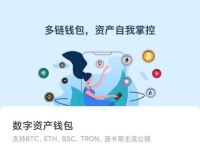 usdt钱包下载地址,usdt钱包app下载