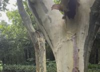 郑州积水已退,郑州积水退了吗