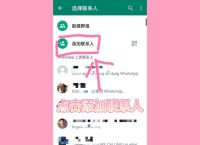 whatsapp中文下载安装,whatsapp中文版下载安卓