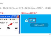 skype网页登入,skype网页版登录不上为什么