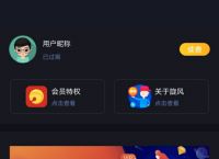 手机梯子加速器app,手机梯子加速器永久免费版