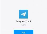 飞机软件汉化语言包,飞机软件如何调中文版