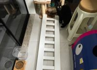 猫猫云官网梯子,猫云科技有限公司