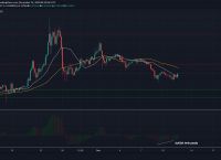 包含trx兑换usdt实时汇率的词条