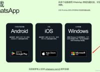 关于whatsapp文件为什么下载不了的信息