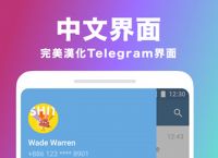 telegreat飞机,wwwtelegeramcom