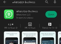 whatsappbusiness官网,whatsappbusinessdownload