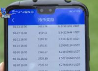 虚拟币钱包地址可以追踪吗,虚拟币钱包地址可以给别人吗