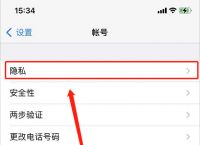 苹果手机如何下载whatsapp软件的简单介绍