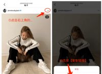 国内怎么用ins软件,国内怎么用ins软件下载