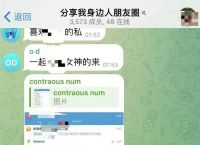 telegeram官网版下,纸飞机telegeram官网