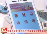 货币钱包安全吗,货币钱包安全吗现在