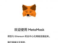 小狐狸钱包正版是什么样的,狐狸钱包app官方正版中文