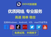 梯子加速器app免费使用的简单介绍