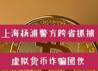 虚拟币诈骗警察可以查到虚拟币交易记录吗的简单介绍