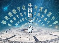 六字出玄机是哪六字,六字出玄机是哪六字的意思