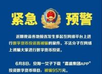 网购虚拟币受骗能报案吗,网络买虚拟币被骗怎么追回钱