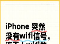 iPhone梯子能连接但是上不去网的简单介绍