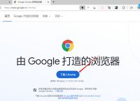 谷歌浏览器网页版,谷歌浏览器网页版地址