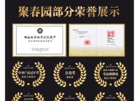 佛跳墙vp官方网,佛跳墙极光官方下载入口