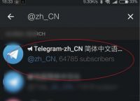 关于纸飞机下载官网twitter的信息