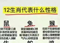一诺千金十二生肖是谁,一诺千金指什么生肖动物