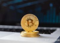 包含虚拟货币有哪些币种的词条