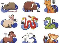 六部玄机是指什么生肖,六部玄机是指什么生肖的动物