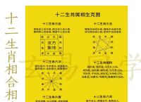 6合是什么数字和生肖,6合是什么数字和生肖答案