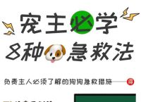 夜里狗狗发病主人弹起去急救,狗狗半夜发疯似的跑来跑去怎么办