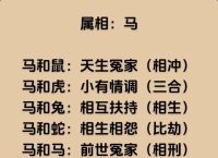 命根子是特马开过什么生肖