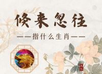 荒渺不经是什么生肖