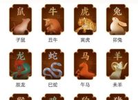 玄机指哪个生肖最好