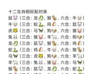 今期生肖两边站是什么生肖?