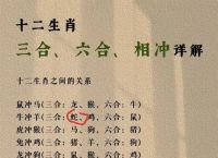 “今期生肖找太子”打一正确的生肖