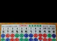 今期生肖七字头