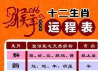 2021属什么生肖不能去扫墓