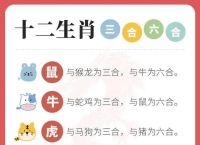 今期六出牛马什么生肖动物