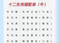 生肖配对