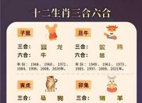今期特羊狗在是什么生肖