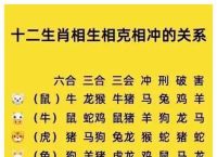 今期生肖出二四指哪个生肖