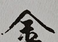 金无足赤打一生肖,金无足赤打一生肖代表