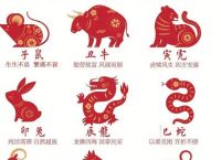 今期生肖发金光打一数字,十二生肖发金光的是什么动物