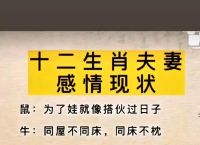 包含“怜孤惜寡”打一准确生肖的词条