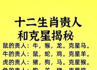 二数今期可三通打一生肖,今期生肖二有六,二三门必出特