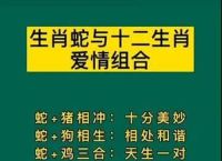 蛇跟什么生肖配对最好女