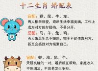 关于今期生肖住皇宫是什么意思皇宫的信息