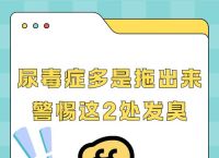 吐尿打一生肖